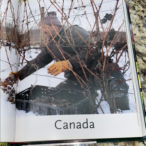 The Encyclopedic Atlas of Wine Hardcover Book - Picture 5 of 11